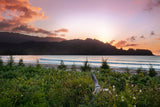 <!-- 260717 --> July 17 to July 24 2026<br>Studio<br>VARIES<br>Westin Princeville<br>KAUAI<br>