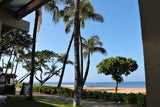 <!-- 260221 --> February 21 to February 28 2026<br>Two Bedroom<br>GARDEN VIEW<br>Marriotts Maui Ocean Club<br>MAUI<br>