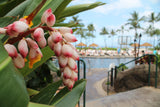 <!-- 251220 --> December 20 to December 27 2025<br>Two Bedroom<br>OCEAN VIEW<br>Westin South<br>MAUI<br>