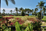 <!-- 261226 --> December 26 to January 2 2027<br>One Bedroom<br>OCEAN VIEW<br>Kona Coast Resort<br>BIG ISLAND<br>