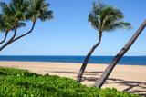 <!-- 240616 --!> June 16 to June 23 2024 <br> One Bedroom <br> OCEAN VIEW <br> Marriott Maui Ocean Club - Molokai Maui Lanai Towers <br> MAUI <br>