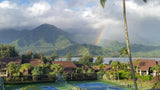 <!-- 240210 --!> February 10 to February 17 2024 <br> One Bedroom <br> OCEAN VIEW <br> Hanalei Bay Resort <br> Kauai <br>