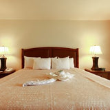 <!-- 240210 --!> February 10 to February 17 2024 <br> One Bedroom <br> OCEAN VIEW <br> Hanalei Bay Resort <br> Kauai <br>