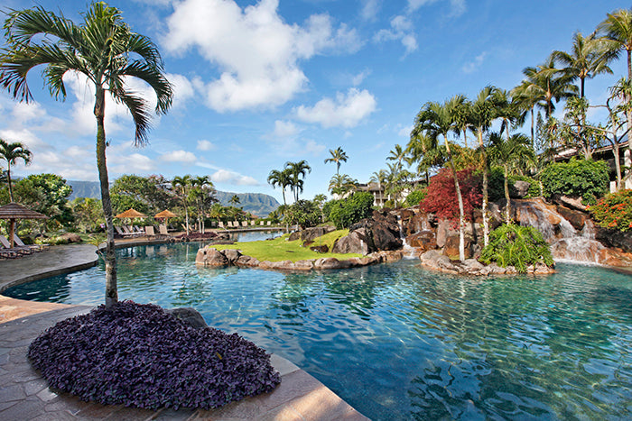 <!-- 240210 --!> February 10 to February 17 2024 <br> One Bedroom <br> OCEAN VIEW <br> Hanalei Bay Resort <br> Kauai <br>