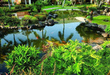 <!-- 240307 --!> March 7 to March 14 2024 <br> Studio <br> OCEAN VIEW <br> Marriott's Kauai Beach Club <br> KAUAI <br>