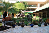 <!-- 240203 --!> February 3 to February 10 2024 <br> Two Bedroom <br> GARDEN VIEW <br> Marriott's Maui Ocean Club - Lahaina & Napili Villas <br> MAUI <br>