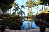 <!-- 240324 --!> March 24 to March 29 2024 <br> One Bedroom <br> OCEAN VIEW <br> Marriott's Lahaina & Napili Villas <br> MAUI <br>