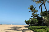 <!-- 240309 --!> March 9 to March 16 2024 <br> Two Bedroom <br> OCEAN FRONT VILLA 7208 <br> Marriott's Maui Ocean Club - Lahaina Villas <br> MAUI <br>