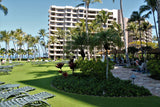 <!-- 240324 --!> March 24 to March 29 2024 <br> One Bedroom <br> OCEAN VIEW <br> Marriott's Lahaina & Napili Villas <br> MAUI <br>