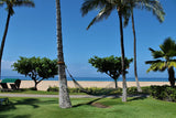 <!-- 240324 --!> March 24 to March 29 2024 <br> One Bedroom <br> OCEAN VIEW <br> Marriott's Lahaina & Napili Villas <br> MAUI <br>