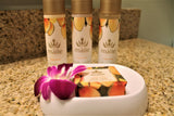 <!-- 241221  --> December 21 to December 28 2024<br>Two Bedroom<br>ISLAND VIEW<br>Marriott Lahaina &amp; Napili<br>MAUI<br>