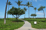 <!-- 260214 --> February 14 to February 21 2026<br>Two Bedroom<br>OCEAN VIEW<br>Westin South<br>MAUI<br>
