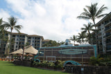 <!-- 250503 --!> May 3 to May 10 2025 <br> Two Bedroom <br> OCEAN VIEW <br> Westin South Buildings <br> MAUI <br>