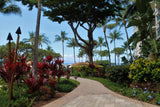 <!-- 240622 --!> June 22 to June 29 2024 <br> Two Bedroom <br> OCEAN VIEW <br> Westin South Buildings <br> MAUI <br>