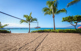 <!-- 250622 --> June 22 to June 29 2025<br>Two Bedroom<br>OCEAN VIEW<br>Sands of Kahana<br>MAUI<br>