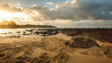 <!-- 250822 --> August 22 to August 29 2025<br>Two Bedroom<br>OCEAN VIEW<br>Marriott Waiohai Beach Club<br>KAUAI<br>