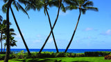 <!-- 250822 --> August 22 to August 29 2025<br>Two Bedroom<br>OCEAN VIEW<br>Marriott Waiohai Beach Club<br>KAUAI<br>