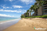 <!-- 250531 --> May 31 to June 7 2025<br>Two Bedroom<br>OCEAN VIEW<br>Sands of Kahana<br>MAUI<br>