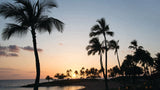 <!-- 250130 --!> January 30 to February 6 2025 <br> Three Bedroom <br> FLOATING VIEW <br> Marriott's KoOlina <br> OAHU <br>
