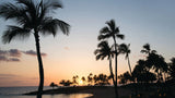 <!-- 240914 --!> September 14 to September 21 2024 <br> One Bedroom <br> OCEAN VIEW <br> Marriott's KoOlina <br> OAHU <br>