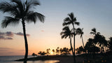 <!-- 241221--!> December 28 2024 to January 4 2025 <br> One Bedroom <br> OCEAN VIEW <br> Marriott's KoOlina <br> OAHU <br>