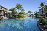 <!-- 250208 --!> February 8 to February 15 2025 <br> Two Bedroom <br> OCEAN VIEW <br> Westin South Buildings <br> MAUI <br>