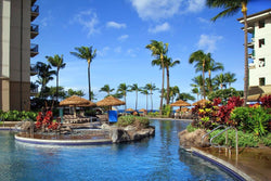 <!-- 250201 --> February 1 to February 8 2025<br>Studio<br>OCEAN FRONT<br>Westin North<br>MAUI<br>