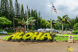 <!-- 270129 --> January 29 to February 5 2027<br>Two Bedroom<br>OCEAN VIEW<br>Hanalei Bay Resort<br>KAUAI<br>