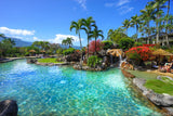 <!-- 270129 --> January 29 to February 5 2027<br>Two Bedroom<br>OCEAN VIEW<br>Hanalei Bay Resort<br>KAUAI<br>