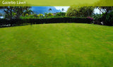 <!-- 270129 --> January 29 to February 5 2027<br>Two Bedroom<br>OCEAN VIEW<br>Hanalei Bay Resort<br>KAUAI<br>