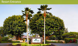 <!-- 270129 --> January 29 to February 5 2027<br>Two Bedroom<br>OCEAN VIEW<br>Hanalei Bay Resort<br>KAUAI<br>