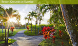 <!-- 270129 --> January 29 to February 5 2027<br>Two Bedroom<br>OCEAN VIEW<br>Hanalei Bay Resort<br>KAUAI<br>