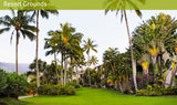 <!-- 270129 --> January 29 to February 5 2027<br>Two Bedroom<br>OCEAN VIEW<br>Hanalei Bay Resort<br>KAUAI<br>