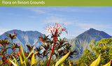 <!-- 270129 --> January 29 to February 5 2027<br>Two Bedroom<br>OCEAN VIEW<br>Hanalei Bay Resort<br>KAUAI<br>