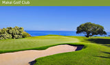 <!-- 270129 --> January 29 to February 5 2027<br>Two Bedroom<br>OCEAN VIEW<br>Hanalei Bay Resort<br>KAUAI<br>