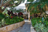<!-- 240810 --!> August 10 to August 17 2024 <br> Three Bedroom <br> OCEAN FRONT <br> Marriott's Maui Ocean Club - Lahaina & Napili Villas <br> MAUI <br>