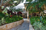 <!-- 251220 --> December 20 to December 27 2025<br>Two Bedroom<br>ISLAND VIEW<br>Marriott Maui Ocean Club - Lahaina &amp; Napili<br>MAUI<br>