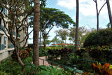 <!-- 240203 --!> February 3 to February 10 2024 <br> Studio <br> OCEAN FRONT <br> Westin South Buildings <br> MAUI <br>