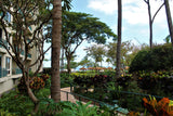 <!-- 250504 --> May 4 to May 9 2025<br>Studio<br>OCEAN VIEW<br>Westin South<br>MAUI<br>