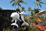 <!-- 250510 --> May 10 to May 17 2025<br>Two Bedroom<br>VIEW VARIES<br>Kona Coast Resort<br>BIG ISLAND<br>