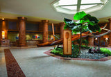 <!-- 240210 --!> February 10 to February 17 2024 <br> Two Bedroom <br> OCEAN VIEW <br> Marriott's Kauai Beach Club <br> KAUAI <br>