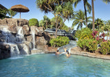 <!-- 250504 --> May 4 to May 9 2025<br>Studio<br>OCEAN VIEW<br>Westin South<br>MAUI<br>